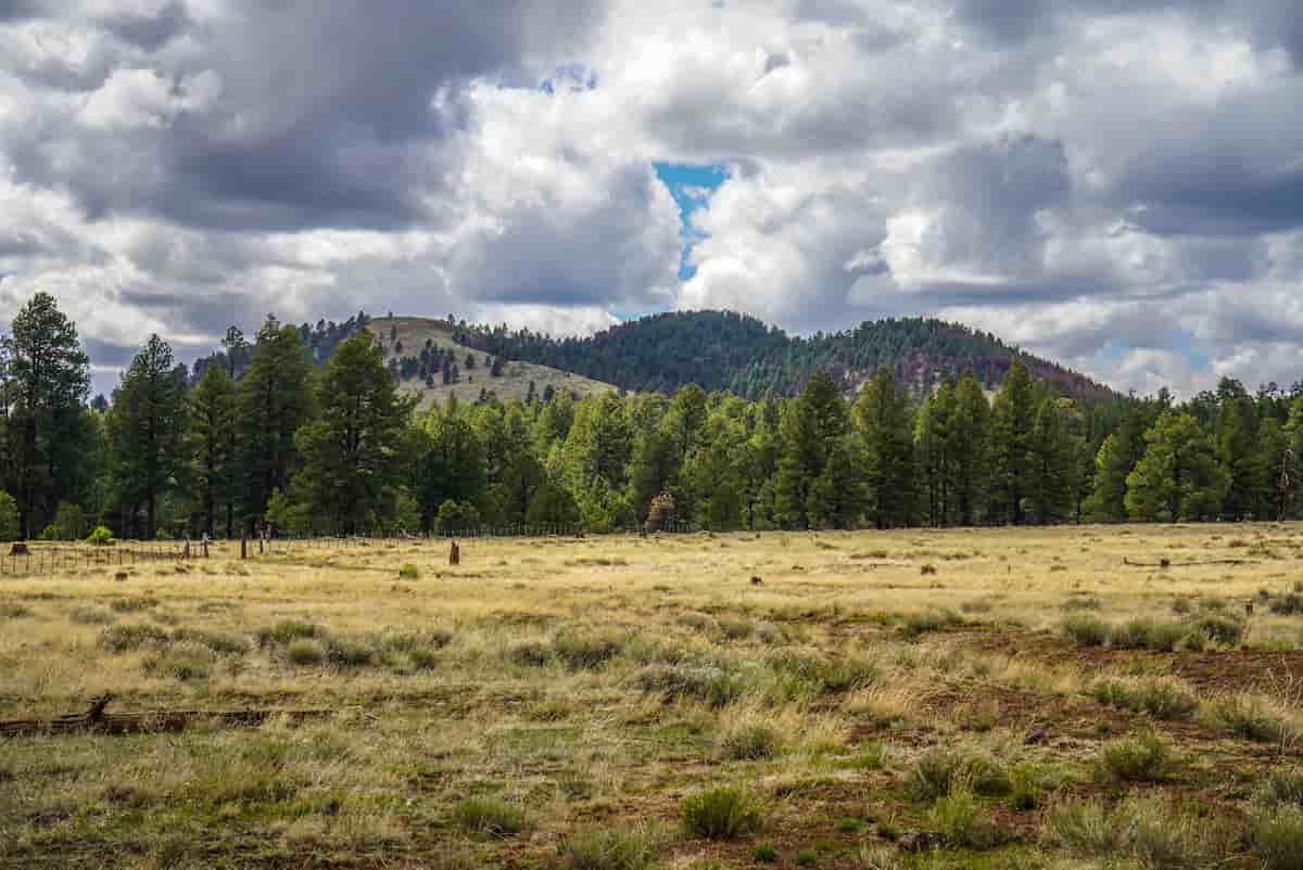 Huachuca Mountains rising above grassland in Cochise County, Arizona